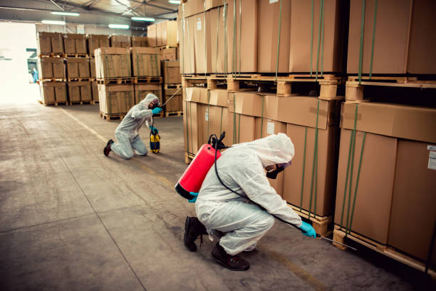 Best Flea Control Services  in Belleville, WI