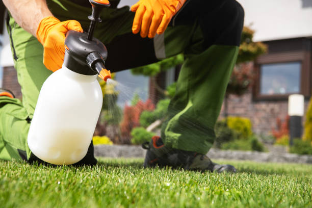 Reliable Belleville, WI Pest Control Solutions