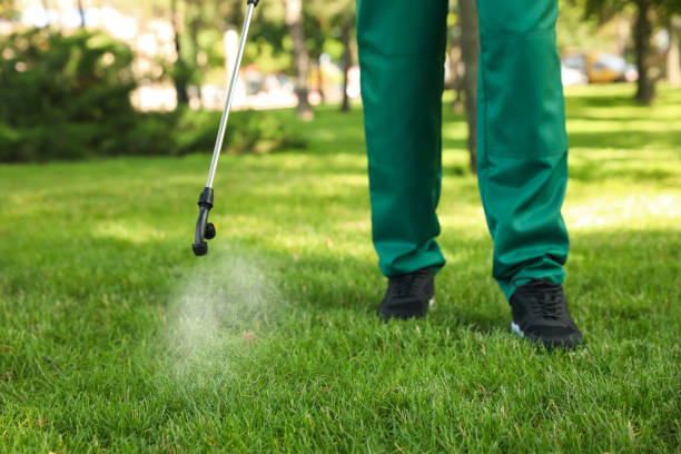 Best Pest Removal Services  in Belleville, WI