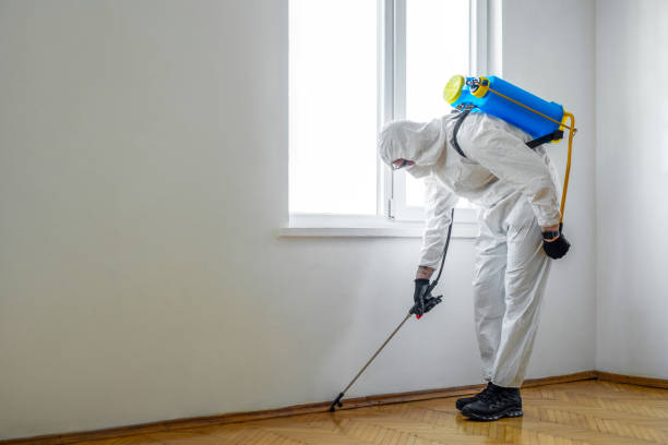 Best Pest Prevention Services  in Belleville, WI