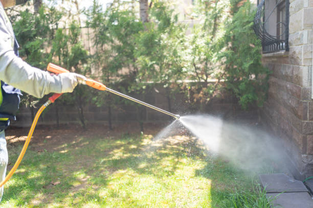 Spider Control Near Me in Belleville, WI