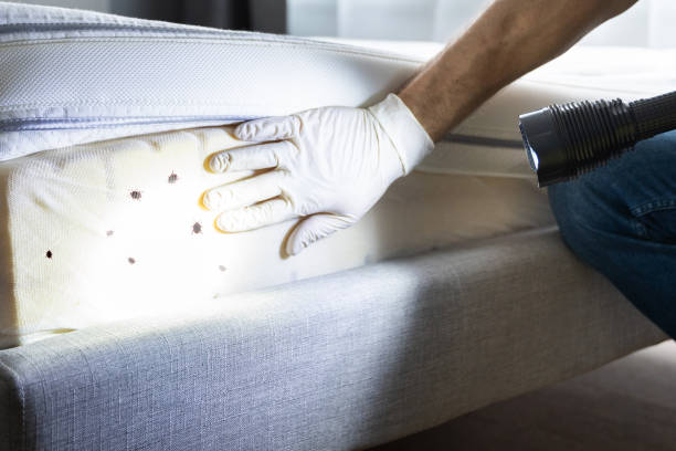 Best Affordable Pest Control Services  in Belleville, WI