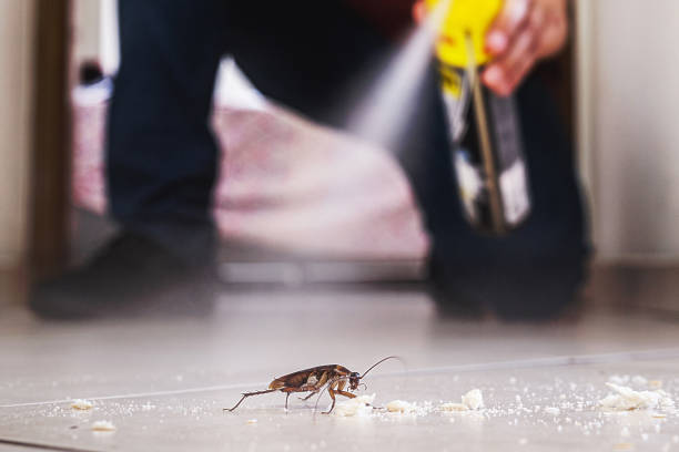 Pest Prevention Services in Belleville, WI