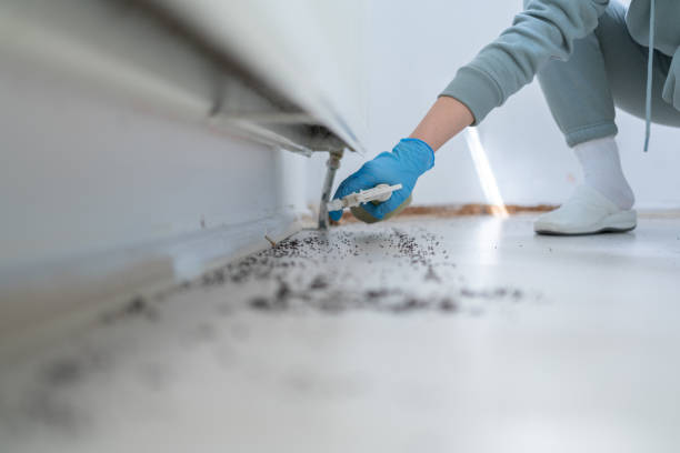 Best Pest Removal Services  in Belleville, WI