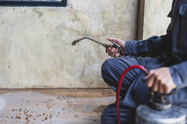 Best Affordable Pest Control Services  in Belleville, WI
