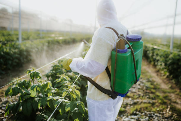 Flea Control Services in Belleville, WI
